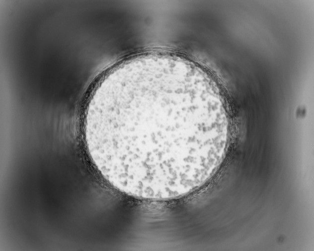 X0000103901261200810101237