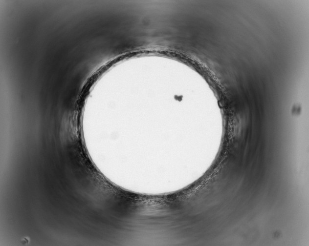 X0000103901262200810101237