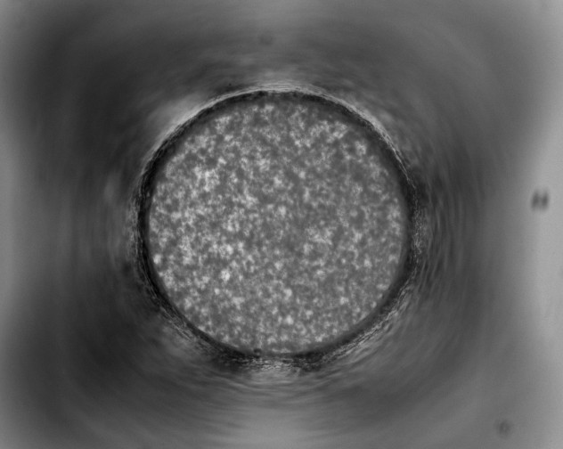 X0000103901263200810101237