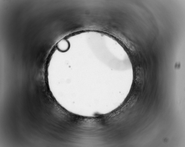 X0000103901264200810101237