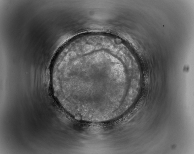 X0000103901267200810101237