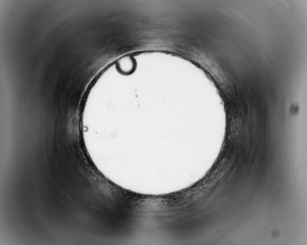 X0000103901268200810101237