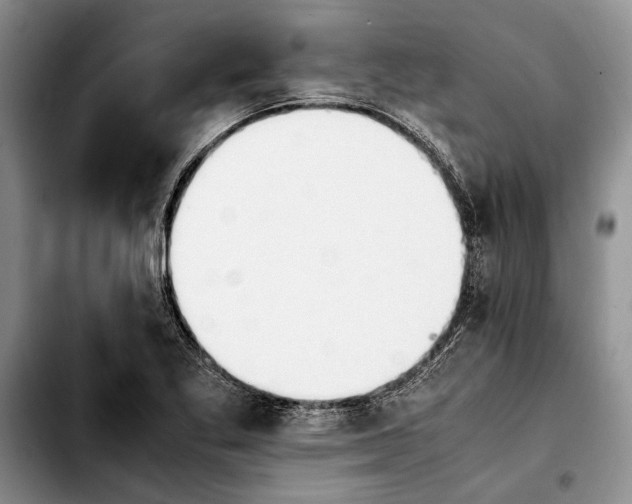 X0000103901269200810101237