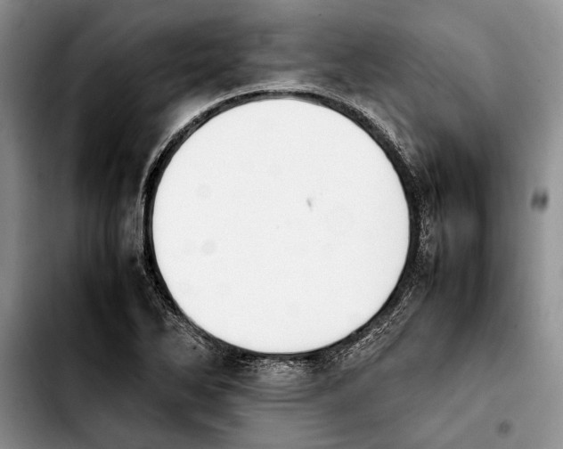 X0000103901270200810101237