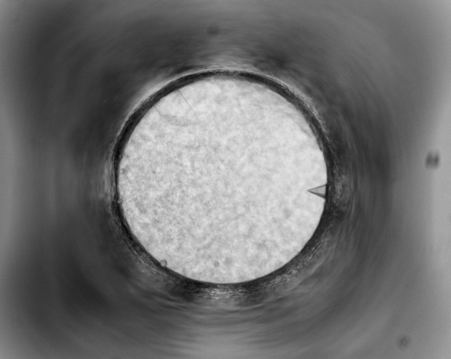 X0000103901271200810101237