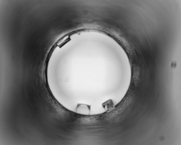 X0000103901272200810101237