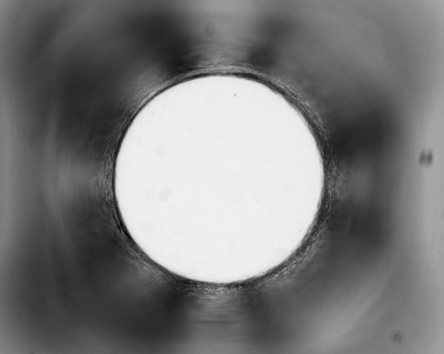 X0000103901273200810101237