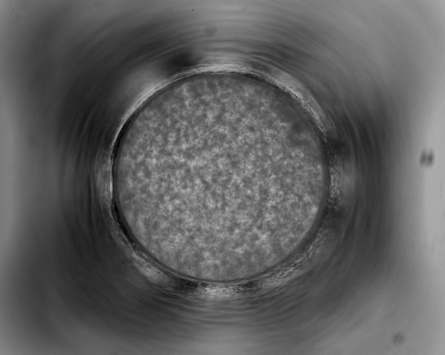 X0000103901274200810101237