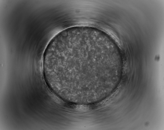 X0000103901275200810101237