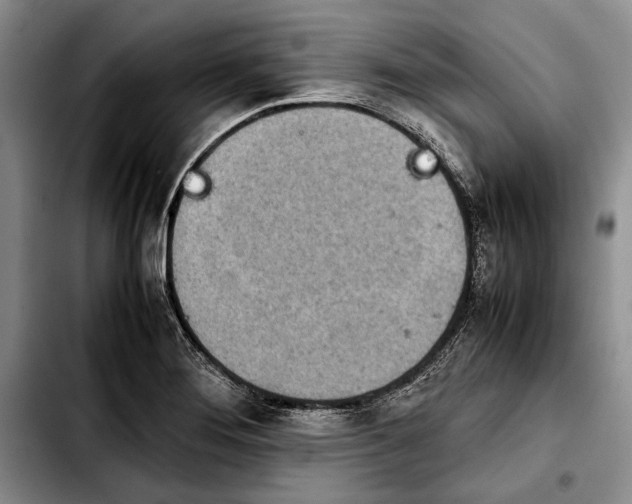 X0000103901276200810101237