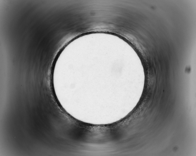 X0000103901277200810101237