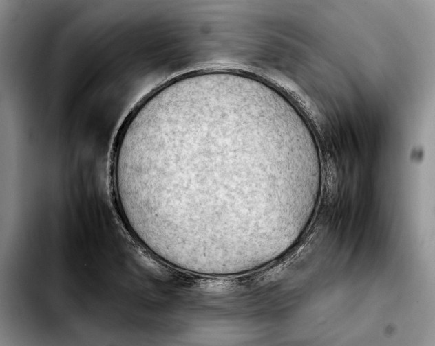 X0000103901278200810101237