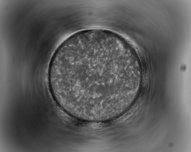 X0000103901279200810101237