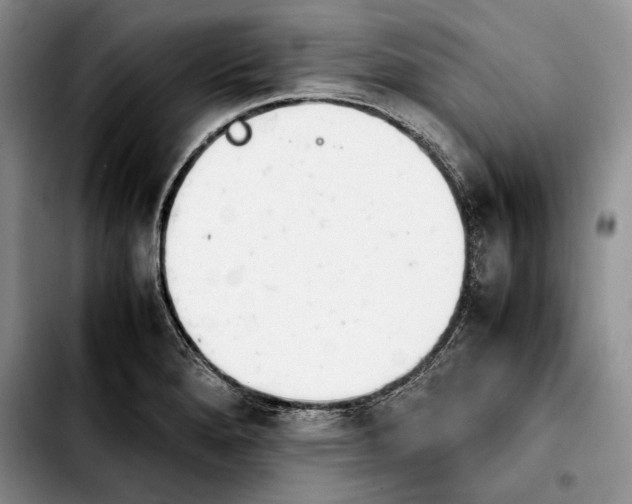 X0000103901280200810101237