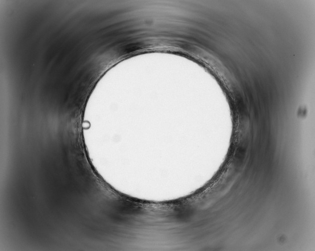 X0000103901281200810101237