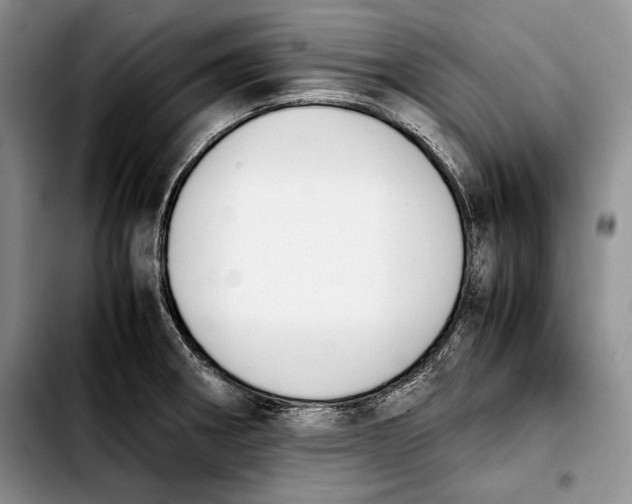 X0000103901282200810101237