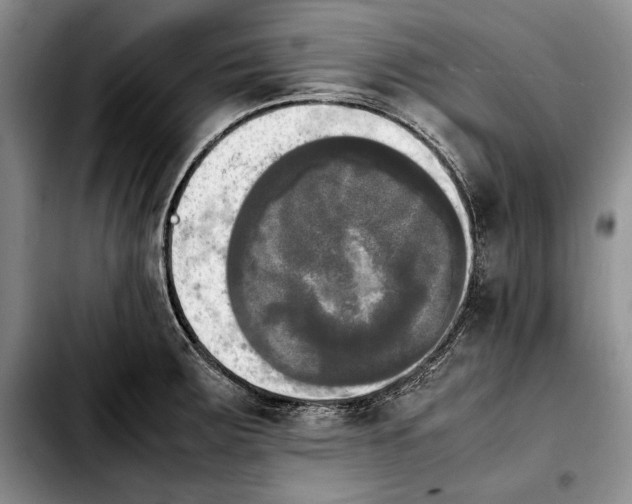 X0000103901283200810101237