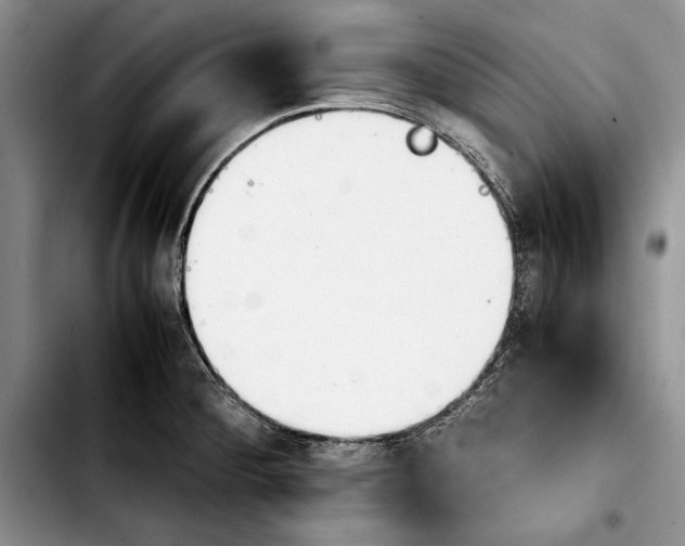 X0000103901284200810101236