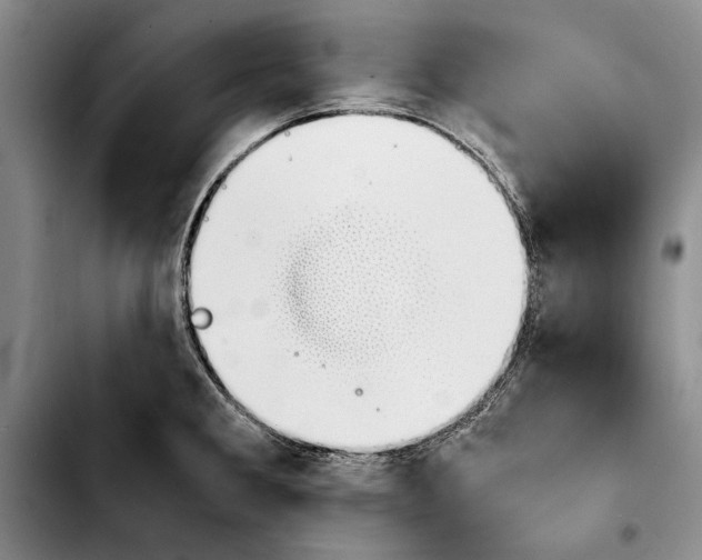 X0000103901285200810101236