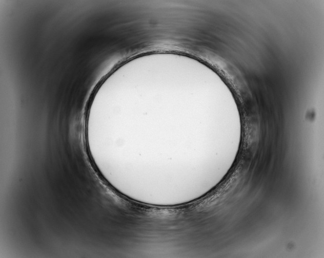 X0000103901286200810101236