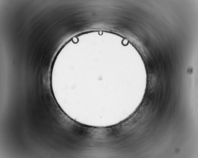 X0000103901288200810101236