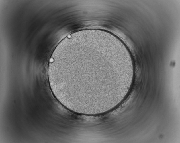 X0000103901289200810101236