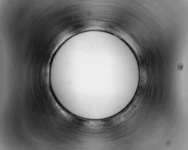 X0000103901290200810101236