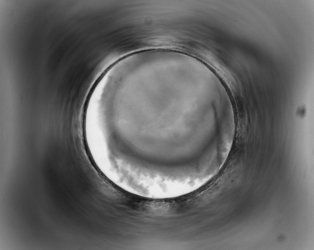 X0000103901291200810101236