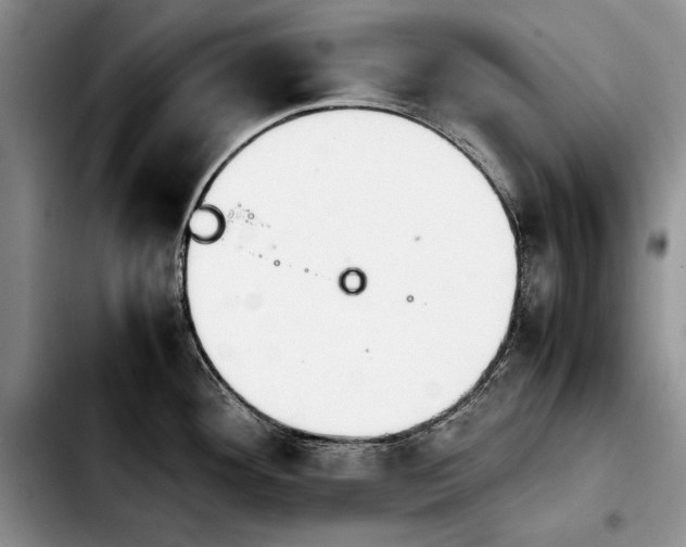 X0000103901292200810101236