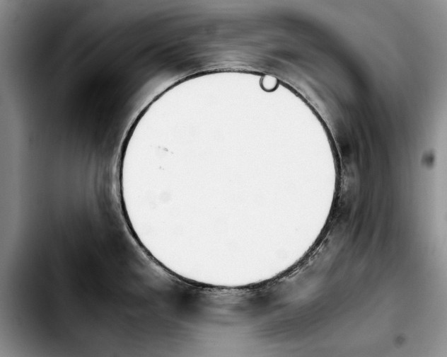 X0000103901293200810101236