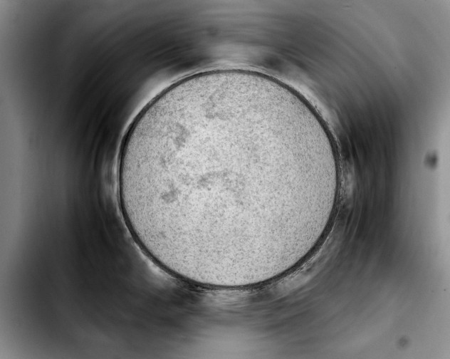 X0000103901294200810101236