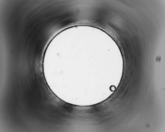 X0000103901296200810101236