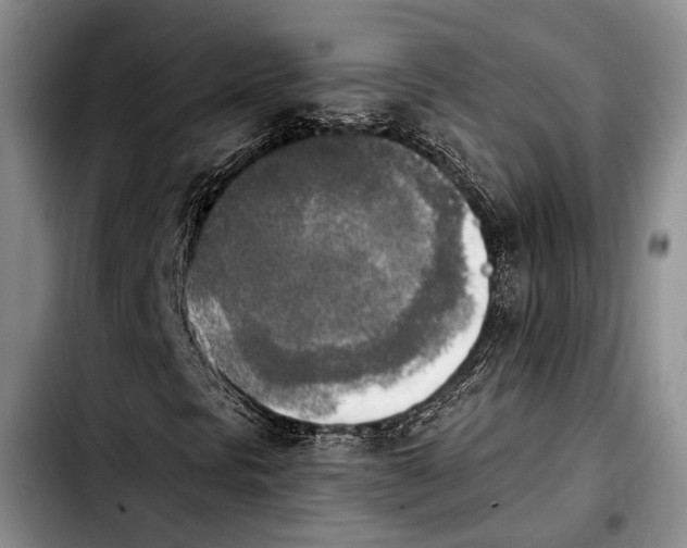 X0000103901297200810101235