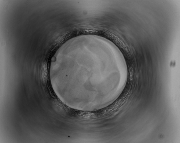 X0000103901298200810101236