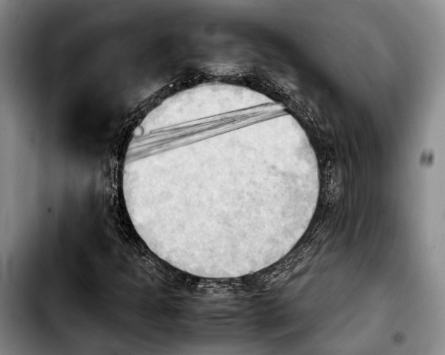 X0000103901301200810101236