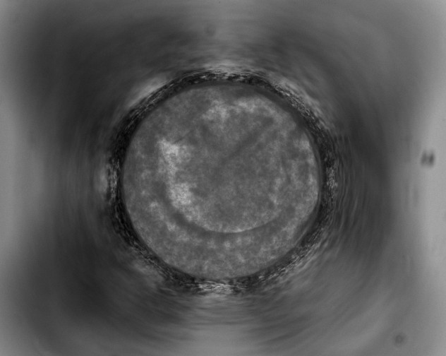 X0000103901302200810101236