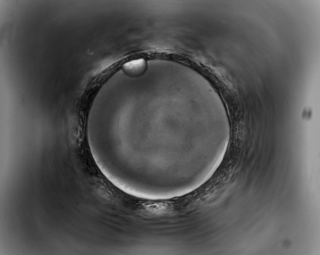 X0000103901303200810101236