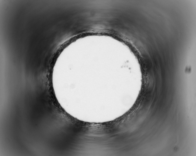 X0000103901304200810101236