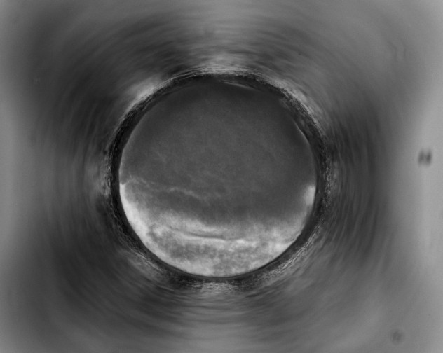 X0000103901306200810101236