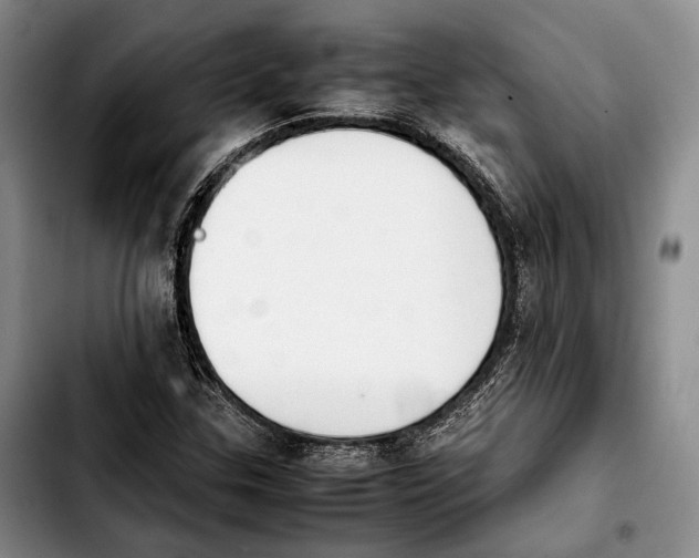 X0000103901307200810101236