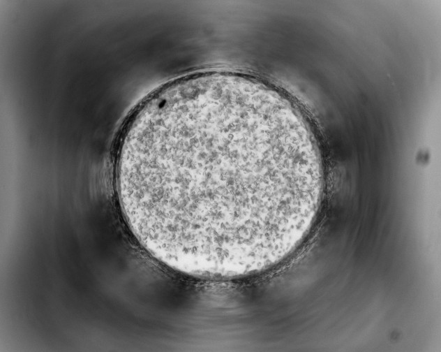 X0000103901310200810101236