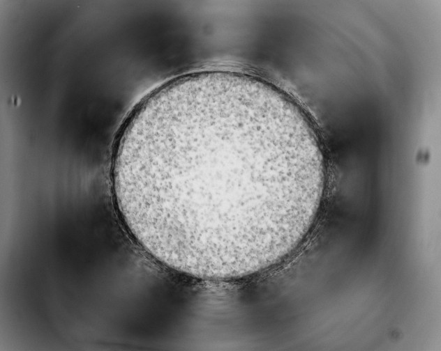 X0000103901312200810101236