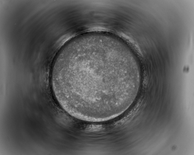 X0000103901313200810101236