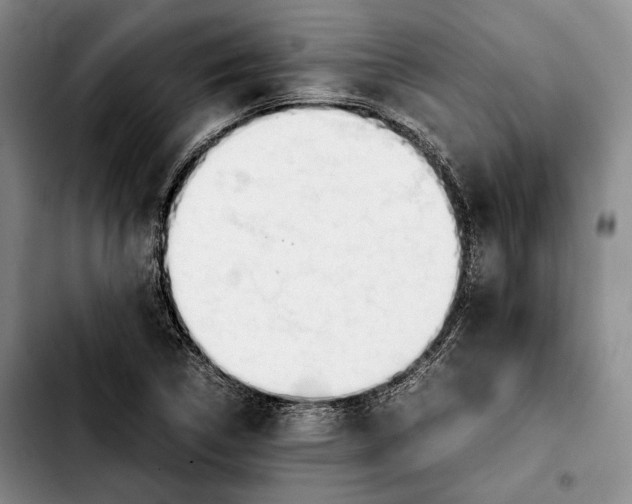 X0000103901314200810101236