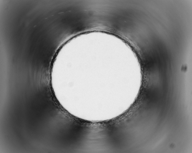 X0000103901316200810101236