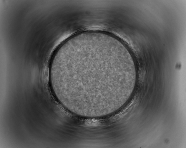 X0000103901317200810101236