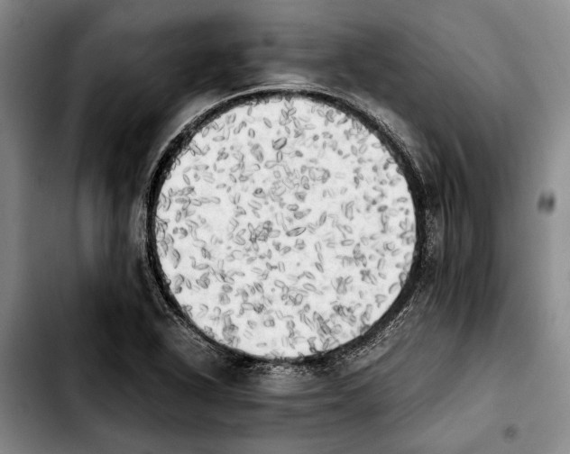 X0000103901318200810101236