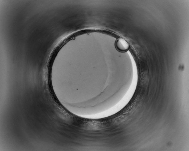 X0000103901319200810101236