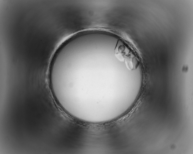 X0000103901320200810101236