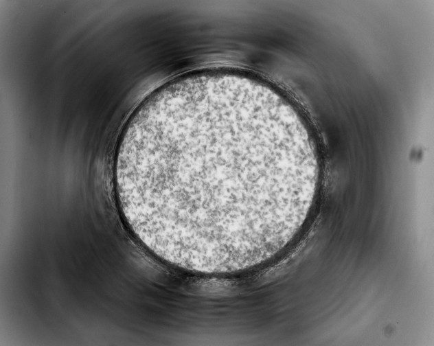 X0000103901321200810101236